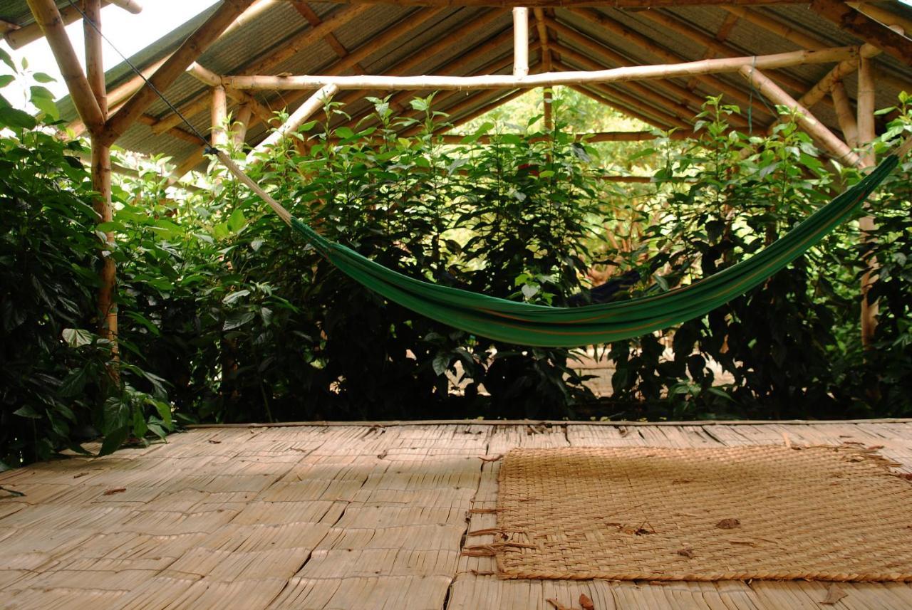 Maracumbo Lodge Mompiche ภายนอก รูปภาพ